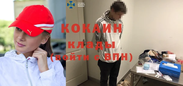 тгк Богданович
