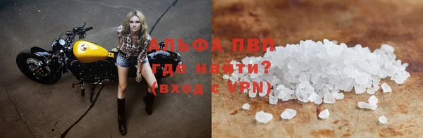 СК Белокуриха