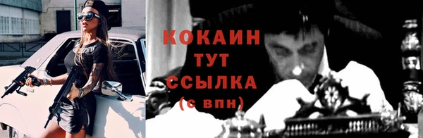 ECSTASY Костерёво