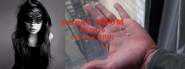 сатива Богородицк